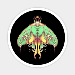 Green Luna Moth Art Magnet